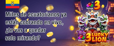 Recarga Diaria Energética promotion