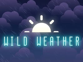 Wild Weather game thumbnail