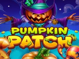 Pumpkin Patch